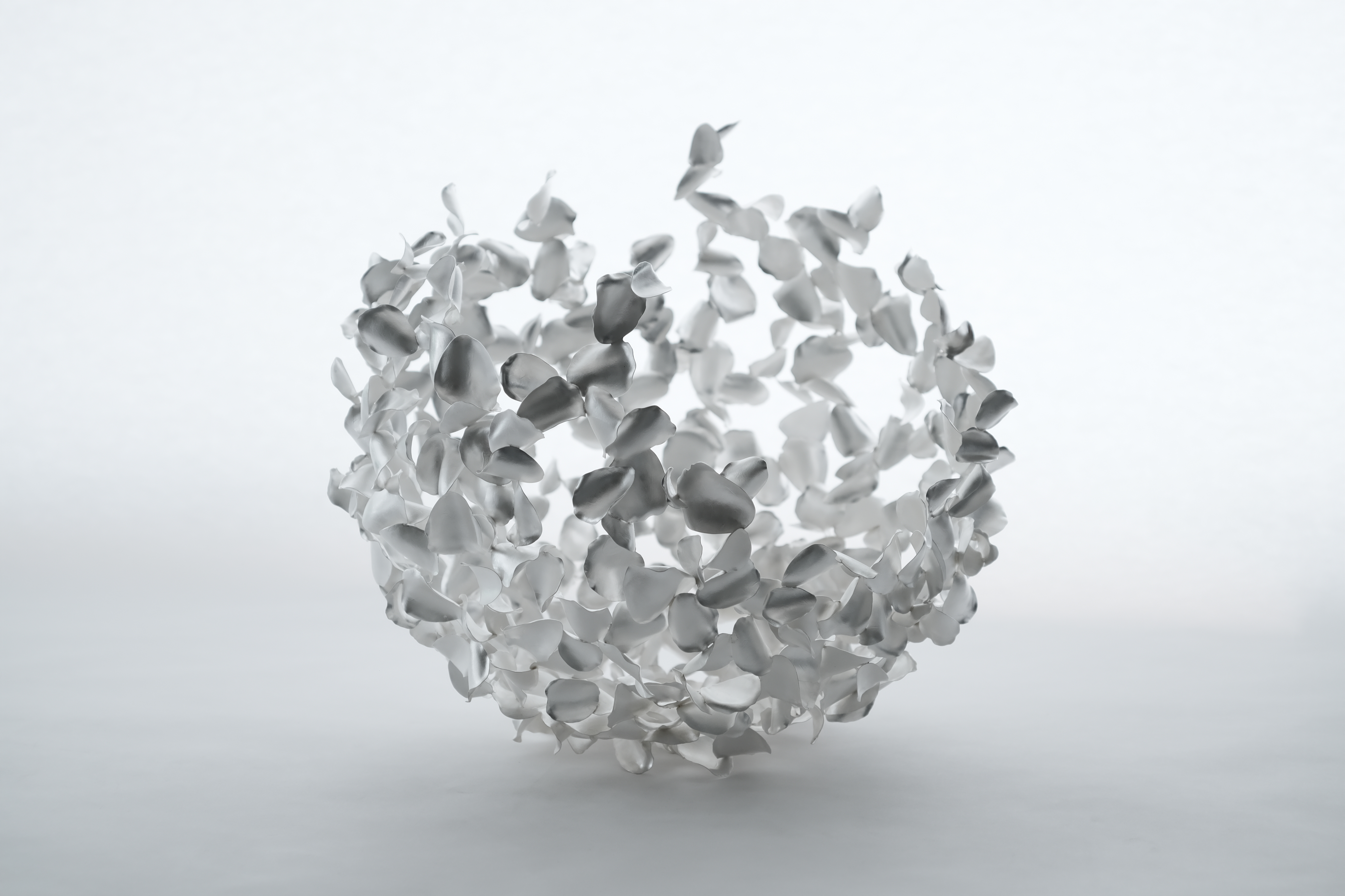 Sheffield Assay Office | Shinta Nakajima's Embrace White Rose