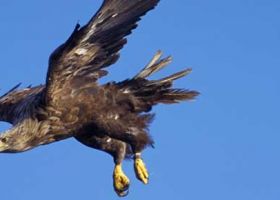 Skye - The Misty Isle